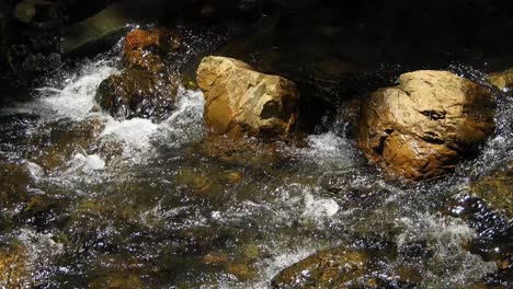 Crystal-clear-fresh-mountain-waterfall-crocodile-river-water-sparkling-and-flowing-over-rocks-and-pebbles-in-the-background-at-the-walter-sisulu-national-botanical-gardens-in-roodepoort,-South-Africa