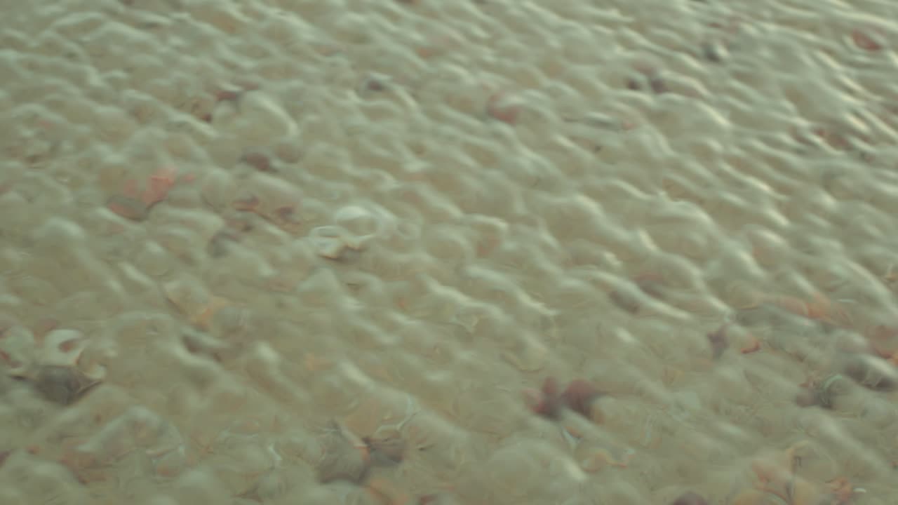 Clear shallow coastal water with visible stones and small debris immersed, showing texture and underwater detail