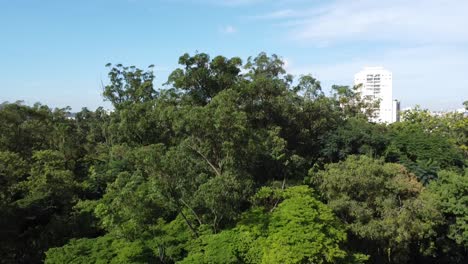 Ascending-movement-with-drone-revealing-a-city-with-a-building-and-many-trees