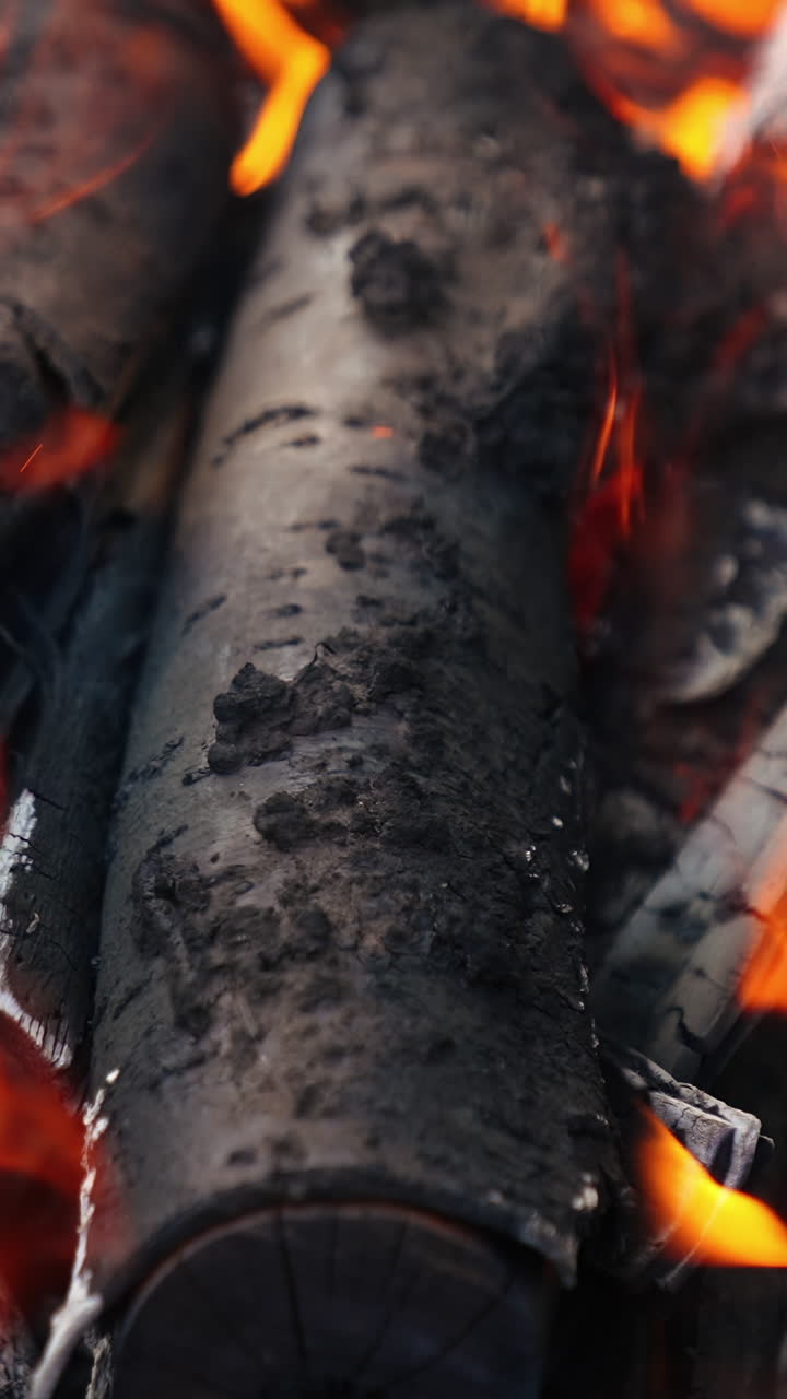 Close up of blazing fire. Close up of wood burning in the fireplace