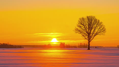 snowy landscape timelapse under golden sky