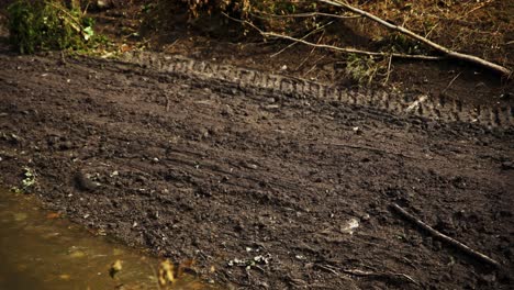 muddy tire tracks cut across logging clear cut hillside as stream flows below in slow motion