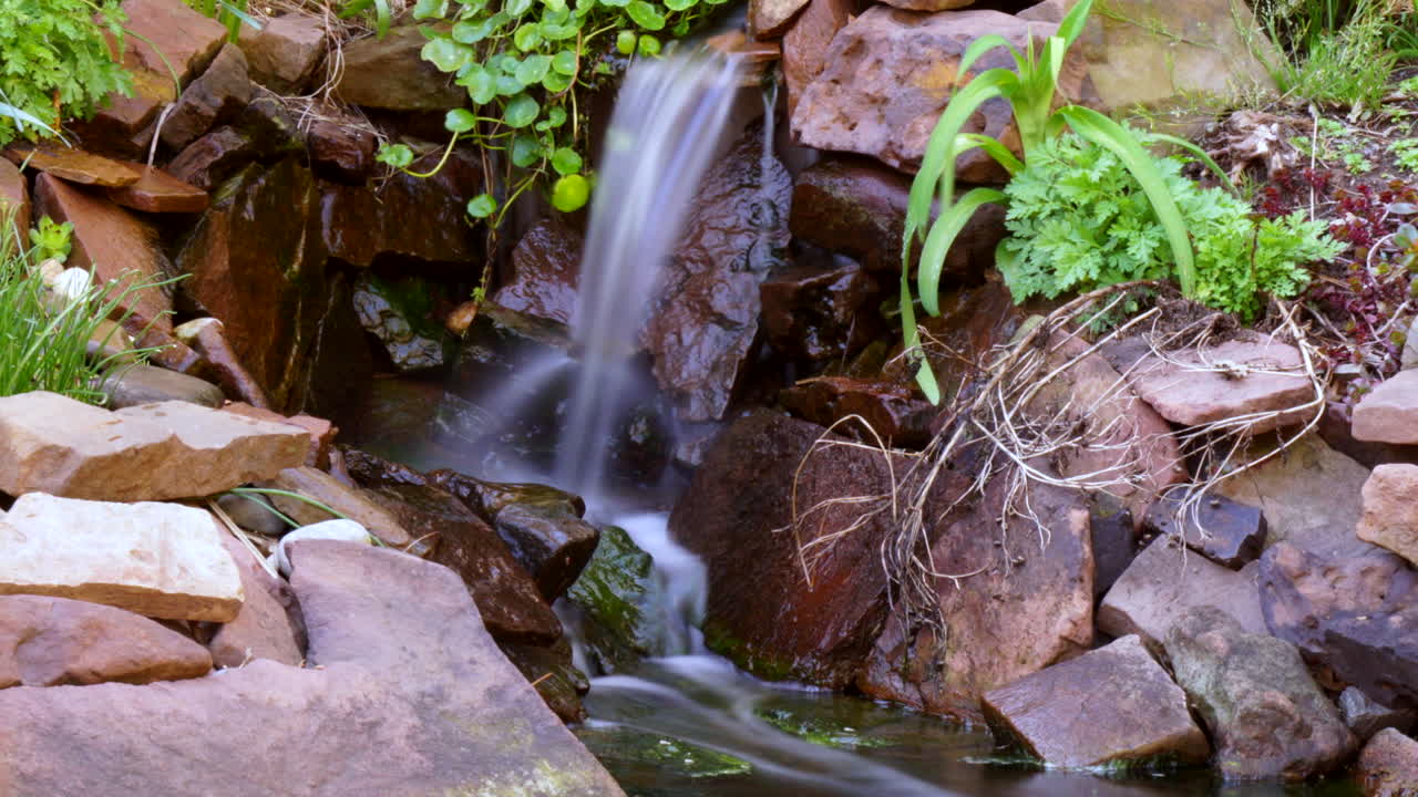 Time lapse and time-exposure of a freshwater pond