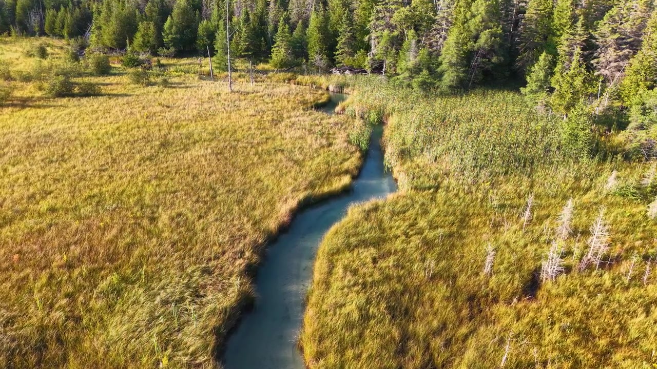 Luftfoto af et naturlandskab med en flod, der løber gennem græsarealer med træer i Hessel, Michigan.