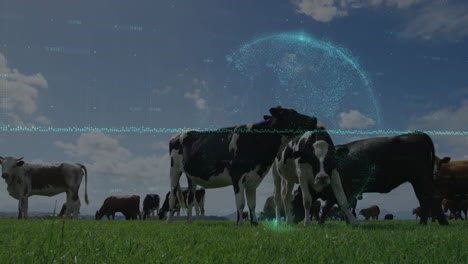 holstein cow being animated in flat design pasture, with digital data overlay and glowing particles