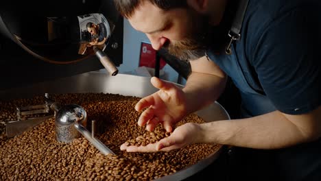 coffee roaster inspecting roasted beans