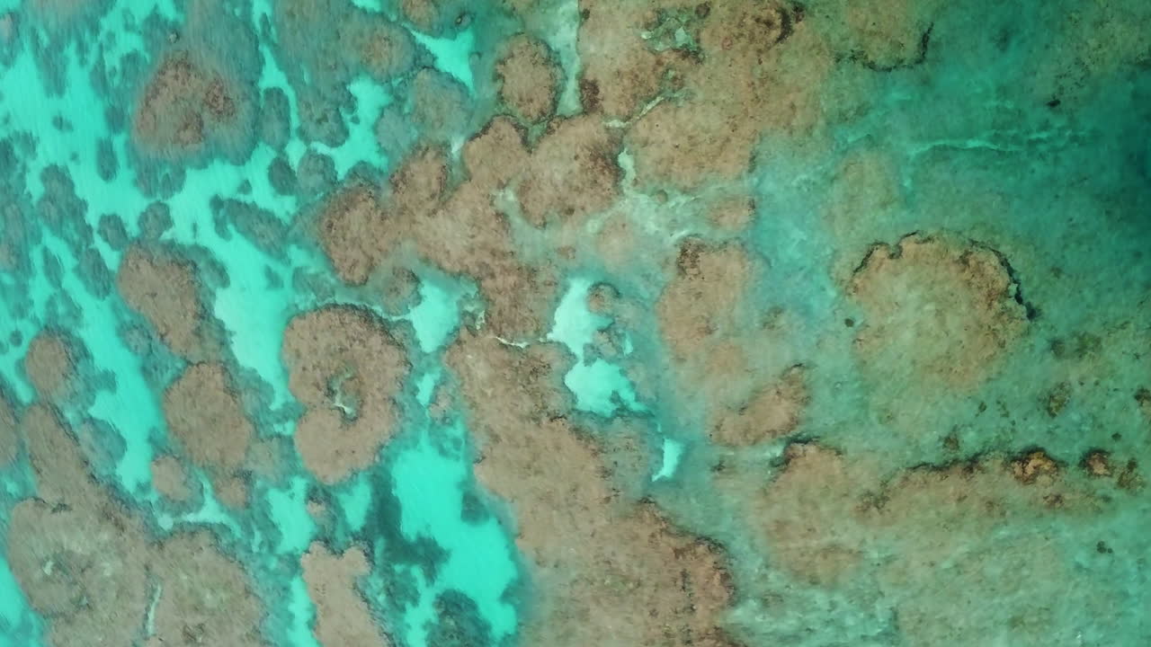 paralaje aéreo vertical directamente por encima del gran arrecife de coral, isla de los pinos
