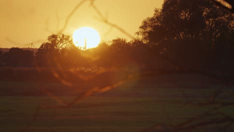 Über-Den-Feldern-Hängt-Eine-Helle-Scheibe-Der-Untergehenden-Sonne