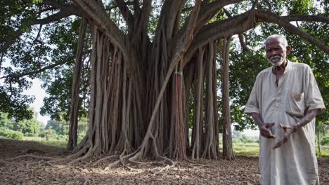 elderly farmer stands near a large banyan tree in a rural landscape, showcasing the connection between people and nature in a serene tropical environment