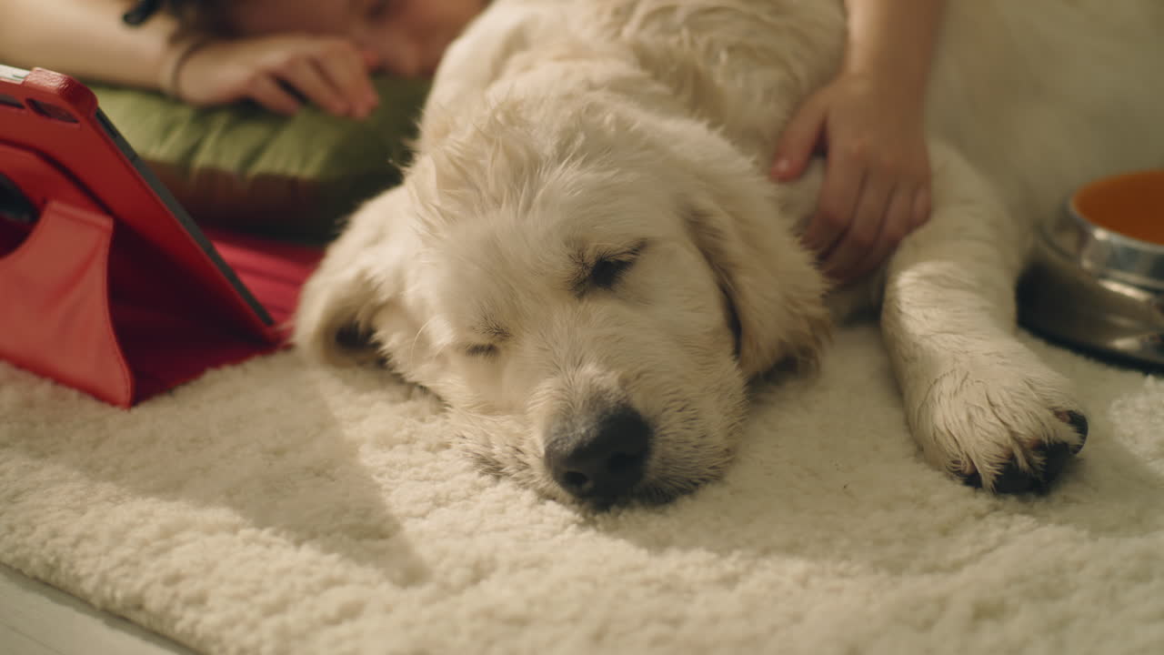 Sleepy Puppy with Child