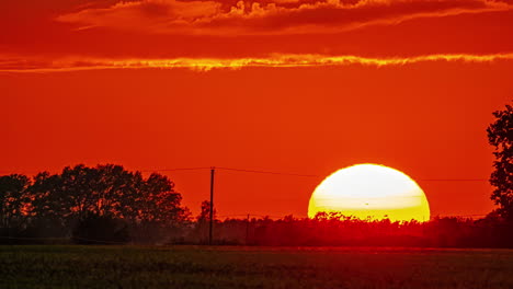 orange sunset, big sun moving in the horizon in rural field, end of day