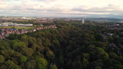 Jesmond-Dene,-Newcastle-Upon-Tyne.-Langsame-Kamerafahrt