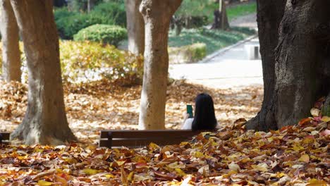 Coloridas-Hojas-Caídas-De-Otoño-Que-Cubren-El-Suelo-En-Un-Parque-Donde-La-Mujer-Se-Sienta-En-El-Banco-Y-Mira-El-Teléfono-Móvil