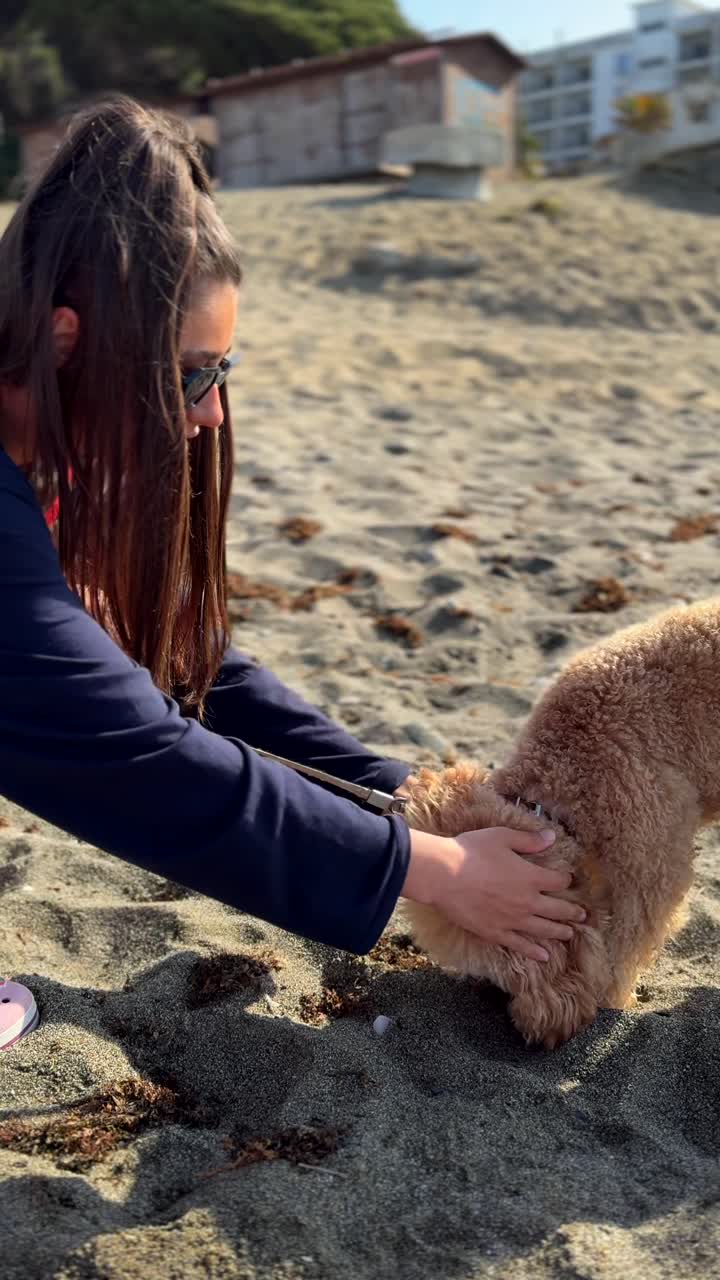 해변에 있는 여자와 개