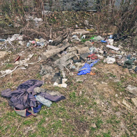 different garbage lying on the ground in nature. a lot of plastic bottles, litter around the natural background. pollution problem.