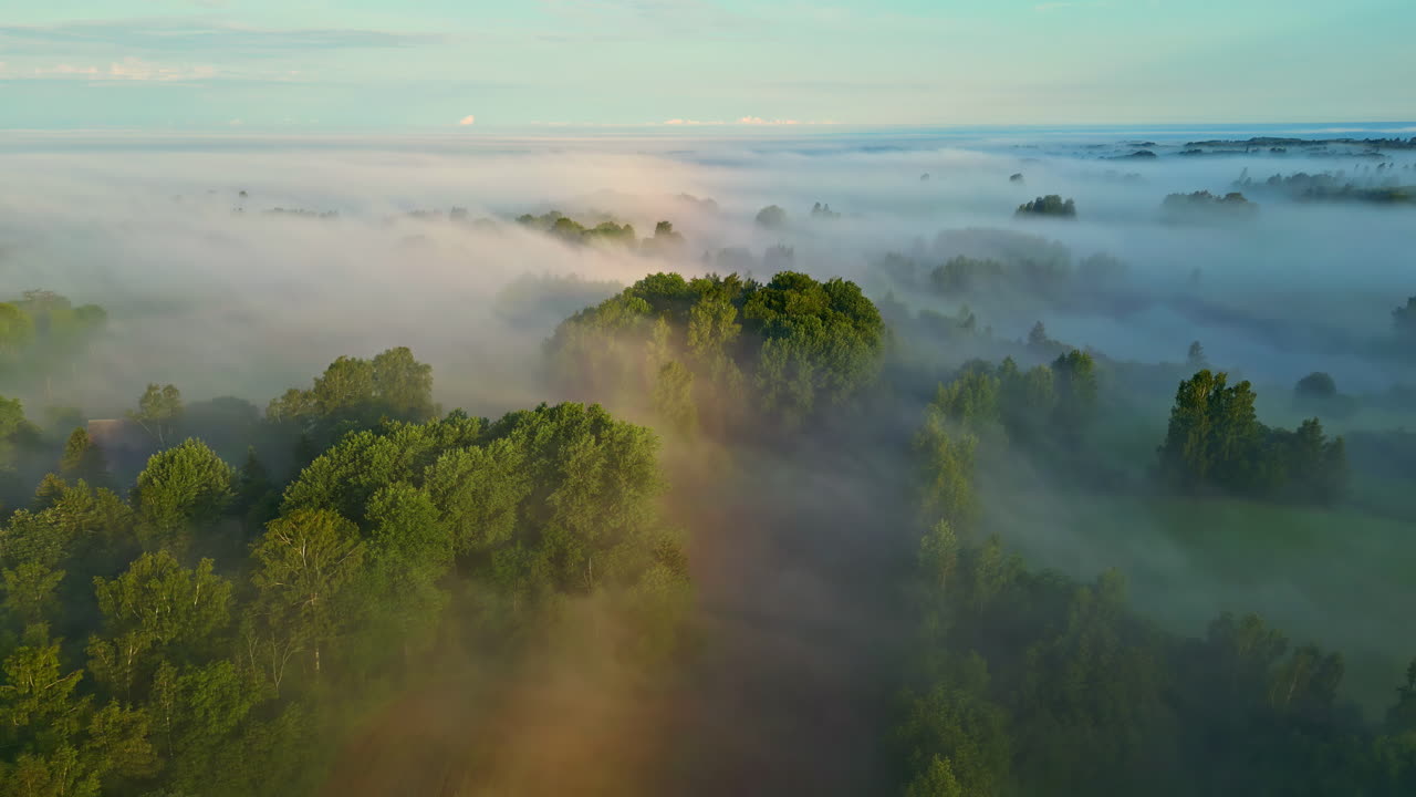 paisaje rural cubierto de niebla durante el hermoso amanecer, vista aérea