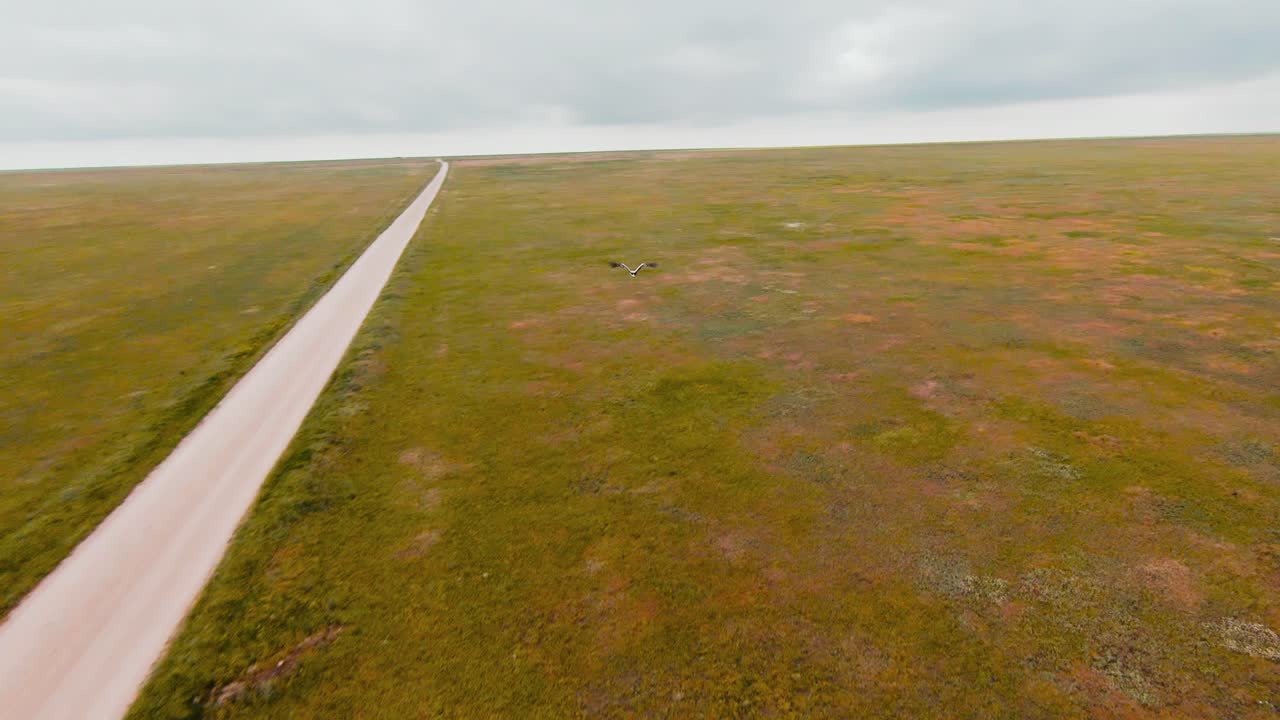 잔디로 인 평야 를 가로질러 있는 길 의 공중 풍경