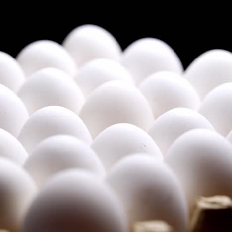 white chicken eggs in a cardboard box. eggs in a paper tray.