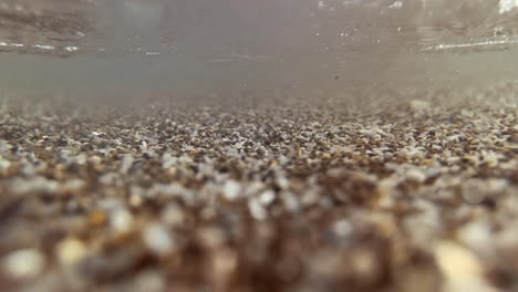 underwater shot of tiny shells and sediment on the sea bed