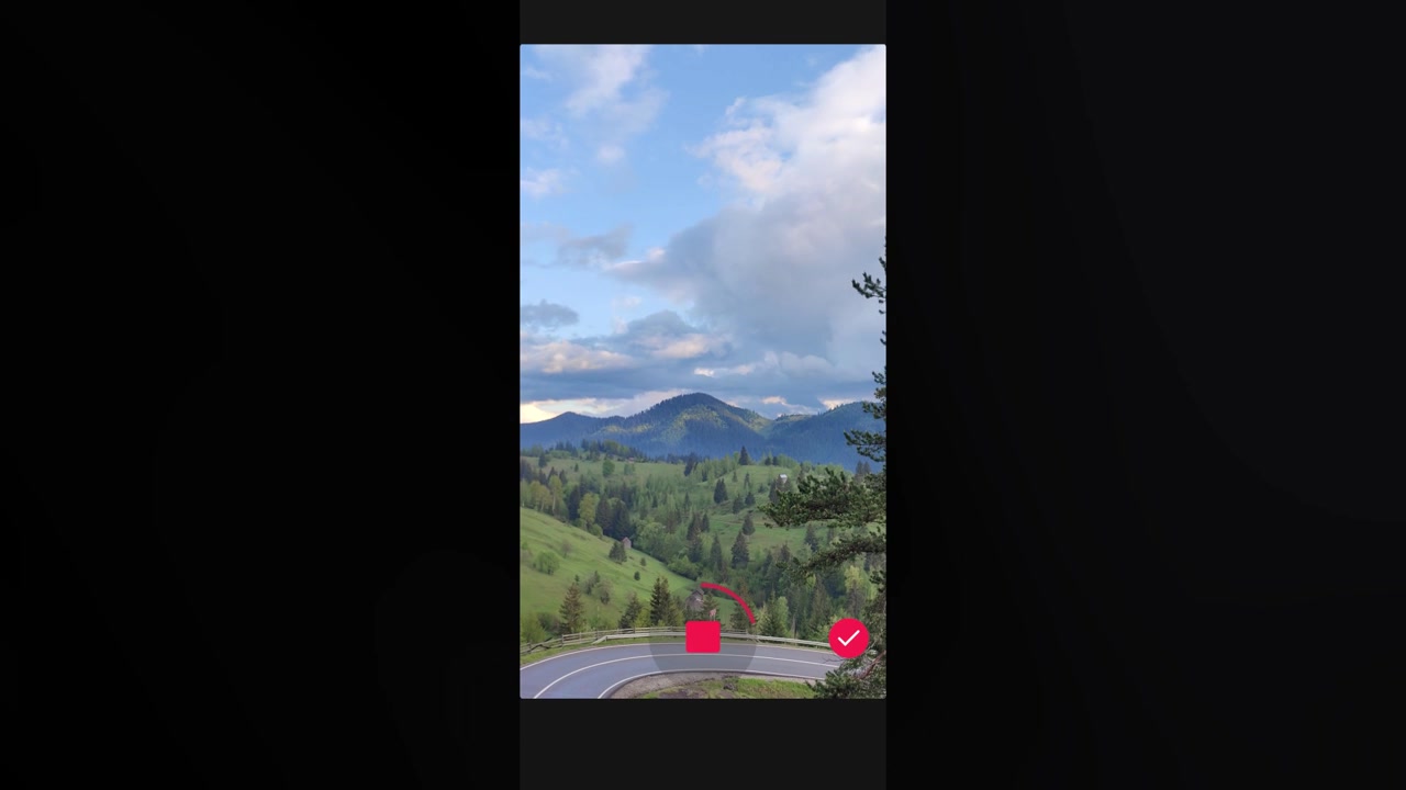 Scenic Mountain Landscape With Winding Road and Pine Tree
