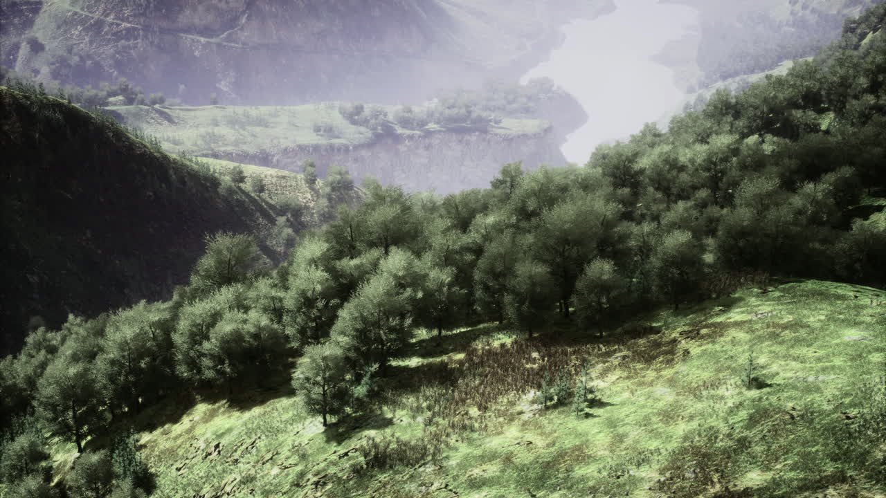 Mountain Valley Landscape with River and Fog