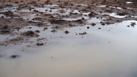 Outback-Australiano-Azotado-Por-La-Sequía-Empapado-De-Agua-Tras-Una-Gran-Cantidad-De-Lluvia