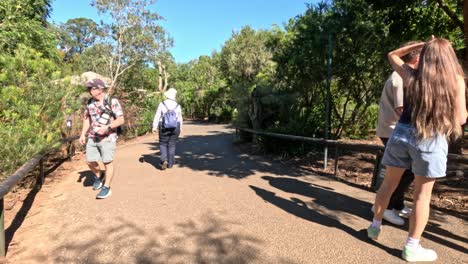 people strolling along a zoo pathway