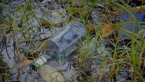 they collect garbage floating in the water and to the river