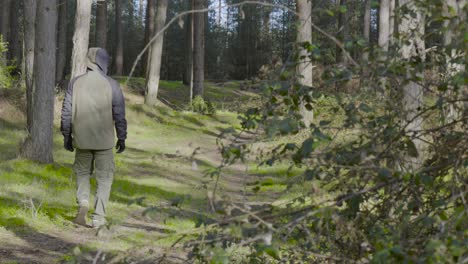 Static-shot-of-back-of-a-man-walking-through-narrow-path-through-Thetford-forest,-Norfolk,-UK-on-a-sunny-morning