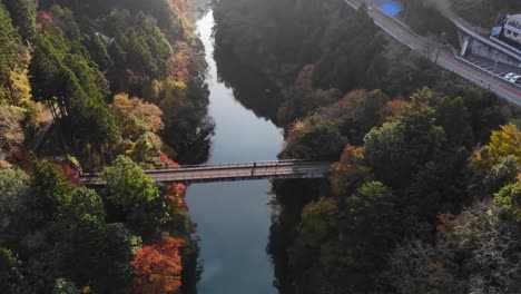 beautiful aerial drone tilt up over ravine with fall colors and bridge