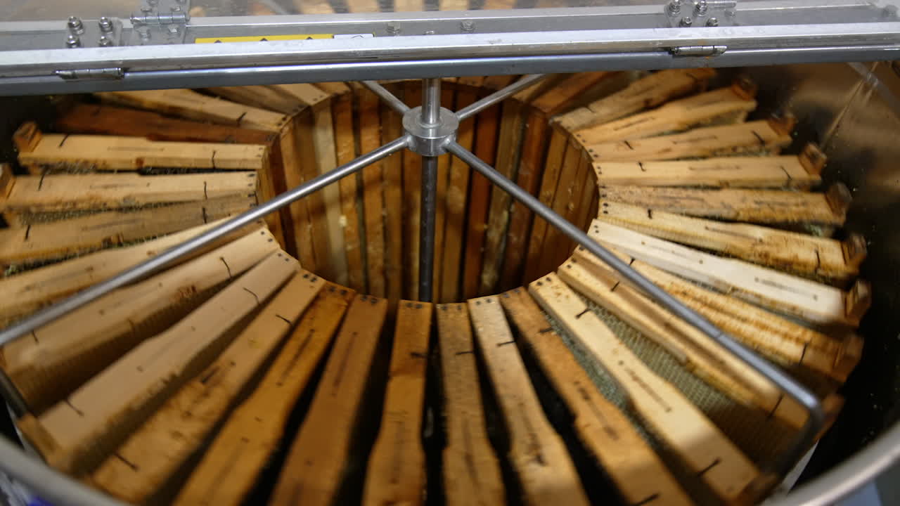 Electric metal barrel machine loaded with wooden frames. The equipment starts to rotate for getting fresh honey from honeycombs.
