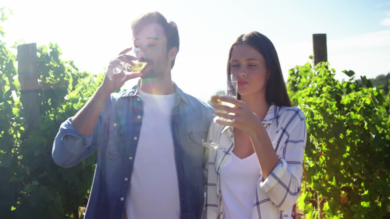 pareja feliz interactuando y tomando vino 4k