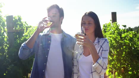 Pareja-Feliz-Interactuando-Y-Tomando-Vino-4k