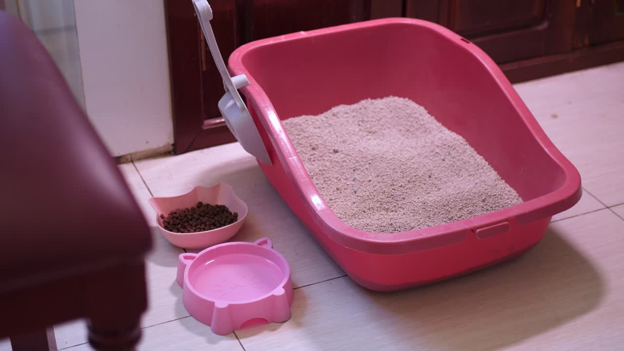 With litter fresh and water clean, It’s the finest loo a cat has seen