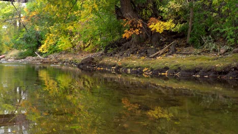 Spiegelung-Des-Herbstlaubs-Auf-Dem-Wasser