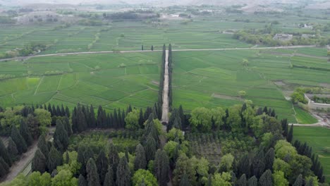 flying over mimla bagh