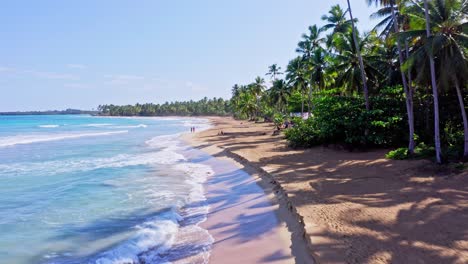 slow aerial flight over sandy beach,resting tourist with tropical palm trees and caribbean sea in summer - playa coson,dominican republic