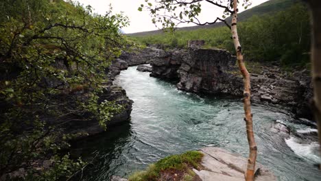 overlooking flowing river water in sweden viewed behind thin bare trees