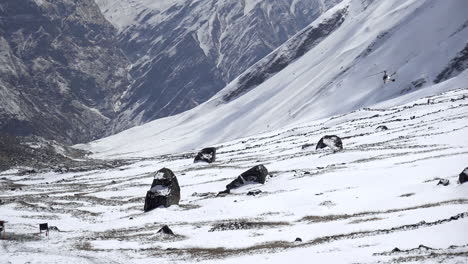 a helicopter landing at the annapurna base camp in the himalaya mountain range of nepal