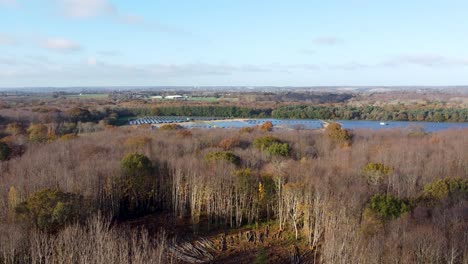 Drone-reveal-shot-of-a-solar-farm-in-UK-set-behind-trees-with-autumn-colours