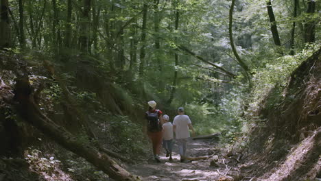 family hiking in the woods