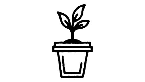 homegrown vegetables sketch line icon animation