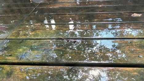 rain water drips onto wet wooden deck outside, close-up detail view