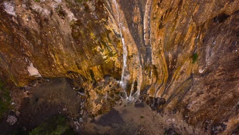 waterfall and creek in forest tilt