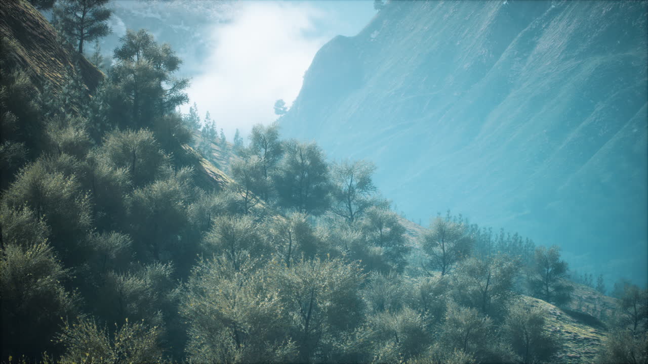 색 ⁇ 의 전망과 함께  ⁇ 은 날에 끝없는 숲