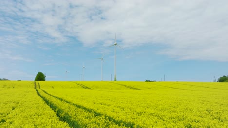Aerial-establishing-view-of-wind-turbines-generating-renewable-energy-in-the-wind-farm,-blooming-yellow-rapeseed-fields,-countryside-landscape,-sunny-spring-day,-low-drone-dolly-shot-moving-right