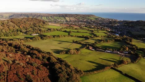 Aerial-View-Of-Harpford-Common-Bathed-In-Golden-Glow-From-Sunset