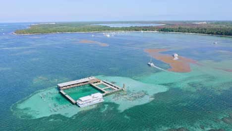 playa tropical bavaro y parque oceánico en el caribe exótico, barcos navegando
