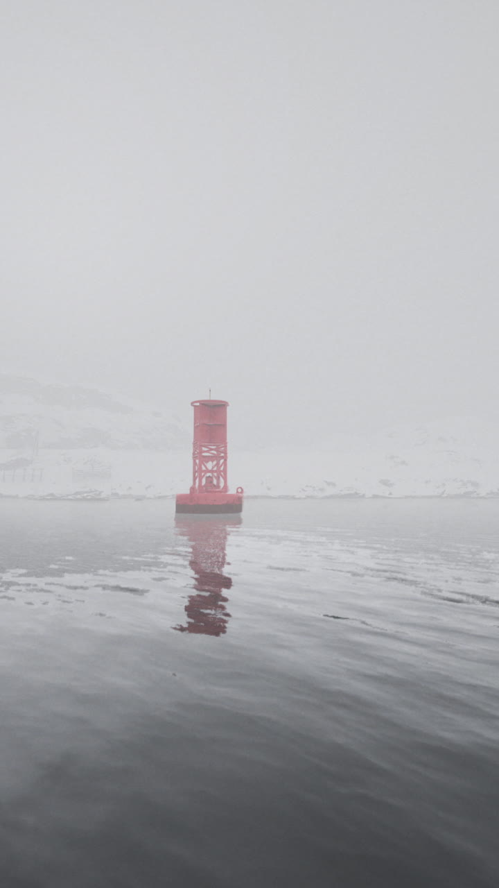 안개 속의 은 보이