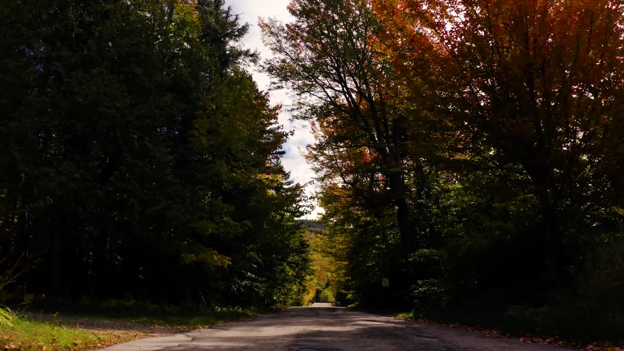 toma aérea de una carretera rural durante la temporada pico de follaje de otoño